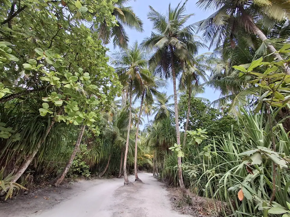 Der Dschungel auf der Local Island Fulhadhoo, Malediven