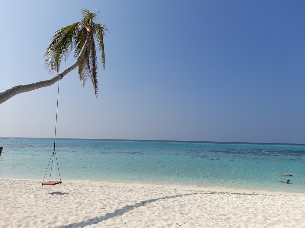 Бикини-пляж с пальмами на острове Тодду