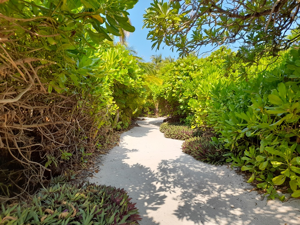 Vista aérea de uma ilha local nas Maldivas com praia de areia branca